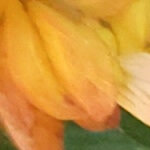 ariusdo1@gmail.com