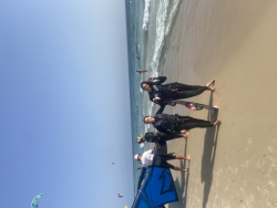 chia.clerici@gmail.com