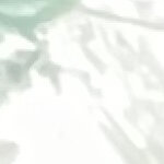 Kuriso@gmail.com