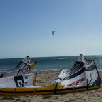 L_vietto@hotmail.com