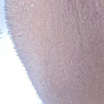 jasonlichtman@gmail.com