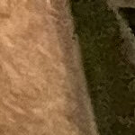 mathias.bellini3@gmail.com