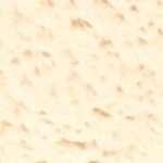 fed.stefanini@gmail.com