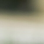 john.perri@avalara.com