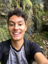 Guilherme L Vendemiatti