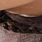 kristen.r.franke@gmail.com