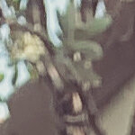 brendan.l.smith123193@gmail.com