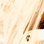 audrafina@yahoo.com