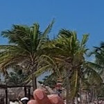 camille_garriga@yahoo.com
