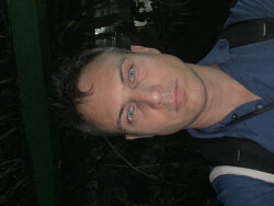 brial.forestier@gmail.com