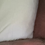 Vito.df80@gmail.com