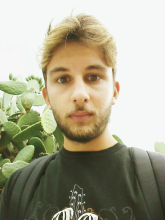 Francesco.giallombardo@virgilio.it