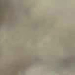 donthugthispug260341