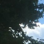 Joetrips10@libero.it