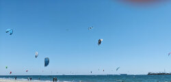 sean@golrizs.com