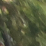 Sebastian_joannes@hotmail.com