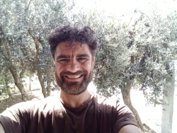 davidchiocchini424883