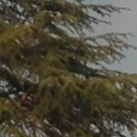 giulia.geradini@hotmail.it
