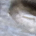 jinorris05@gmail.com