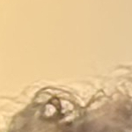 frederick.auerochs@icloud.com