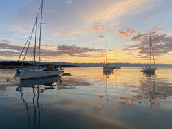 markofavero@gmail.com