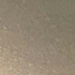 domikoch111@gmail.com