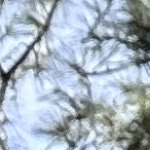 katherinelucak@yahoo.com