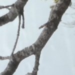 Huijskensrobin@gmail.com