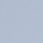 tony@tonyschiena.com