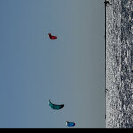 federica.amoroso08@gmail.com