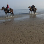 w_giacon@inwind.it