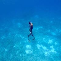 Kellystevensuk109586