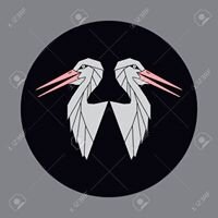 Stray Stork