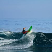 Will Rountree