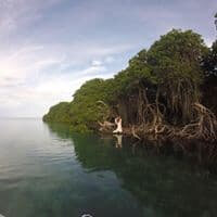 Jesus Daniel Gutierrez Rodriguez