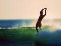 rfbsurf