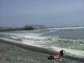 gmoreira