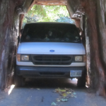 wildernesswilson@gmail.com